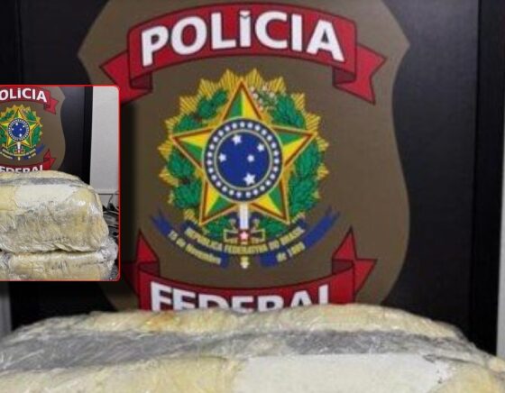 Manauara é presa com quase 34 kg de skunk em mala durante conexão em aeroporto