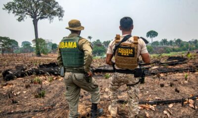 Amazonas fecha o cerco contra incêndios crimin0sos e responsáveis podem ser presos e multados