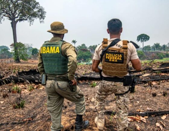 Amazonas fecha o cerco contra incêndios crimin0sos e responsáveis podem ser presos e multados