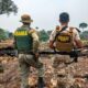 Amazonas fecha o cerco contra incêndios crimin0sos e responsáveis podem ser presos e multados