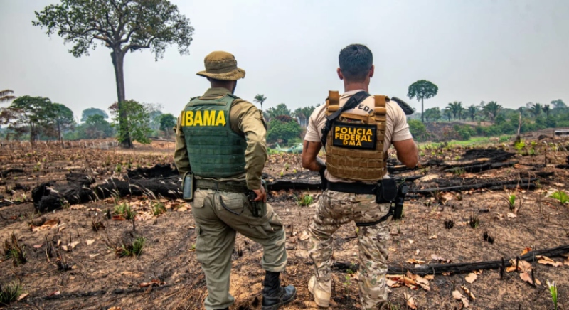 Amazonas fecha o cerco contra incêndios crimin0sos e responsáveis podem ser presos e multados