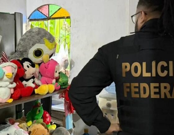 PF fecha o cerco contra cr1mes sexuais e prende três pessoas em grande operação; entenda
