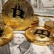 Site oferece criptomoedas por posts de apoio a Flávio Bolsonaro