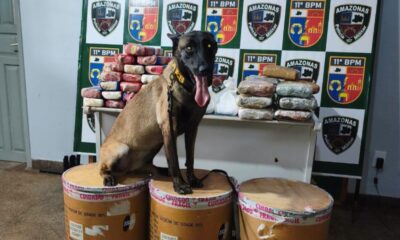 Polícia apreende mais de 72 kg de drogas escondidas em balsa em Parintins e causa prejuízo milionário ao tráfico; veja vídeo