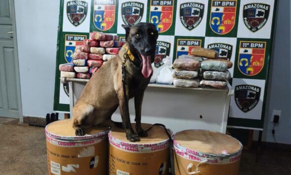 Polícia apreende mais de 72 kg de drogas escondidas em balsa em Parintins e causa prejuízo milionário ao tráfico; veja vídeo