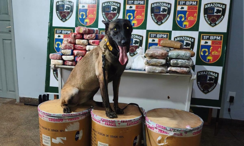 Polícia apreende mais de 72 kg de drogas escondidas em balsa em Parintins e causa prejuízo milionário ao tráfico; veja vídeo