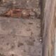 Urgente: homem é m0rto a t1ros na escadaria do ‘beco da morte’ no bairro Compensa; imagens fortíssimas