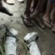 Mistério: homem é brut4lmente assass1nado e jogado em área de mata no Amazonas; imagens fortes