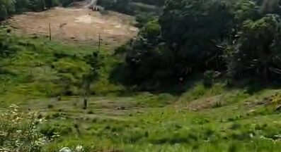 Cenas fortes: homem é m0rto a paulad4s e jogado no buracão do Grande Vitória; veja vídeo