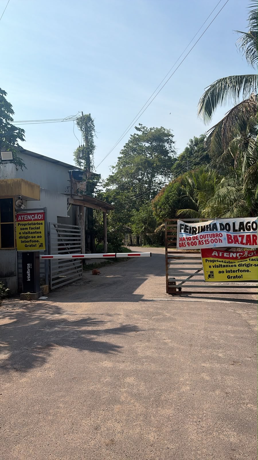 Urgente: dois homens são encontrados mortos em chácara na AM 010; cenas fortíssimas