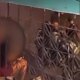 Mulher é assaltada com duas crianças na calçada em Manaus