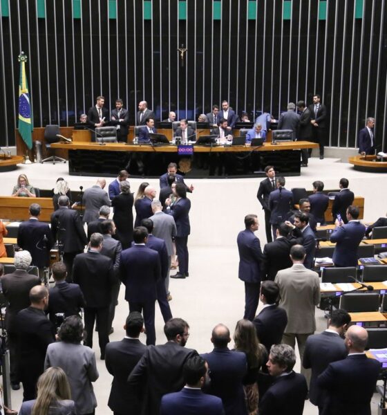 Cresce número de mulheres eleitas para o Congresso Nacional