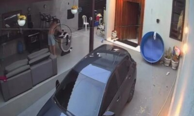 Homem espanca cachorro da companheira e acaba preso no bairro Tarumã