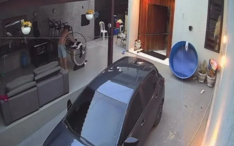 Homem espanca cachorro da companheira e acaba preso no bairro Tarumã
