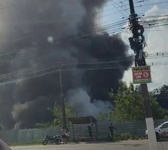 Incêndio atinge área de vegetação no bairro Puraquequara