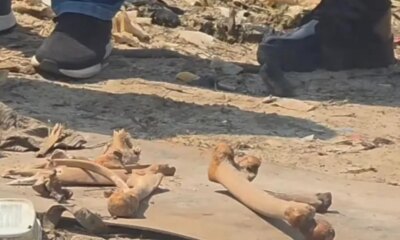 Novas partes de ossada humana são encontradas perto da Feira da Banana