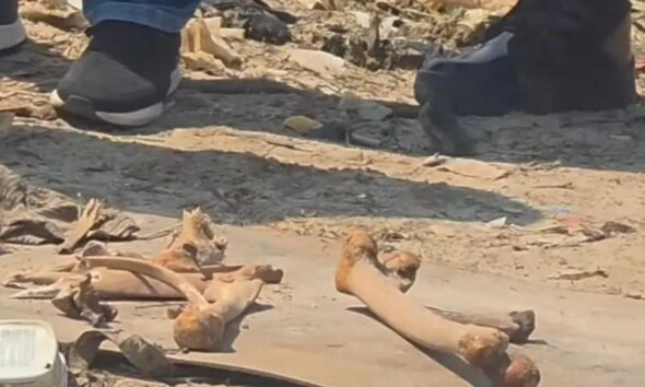 Novas partes de ossada humana são encontradas perto da Feira da Banana