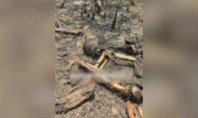 Ossada humana é encontrada em área de mata no Cacau Pirêra