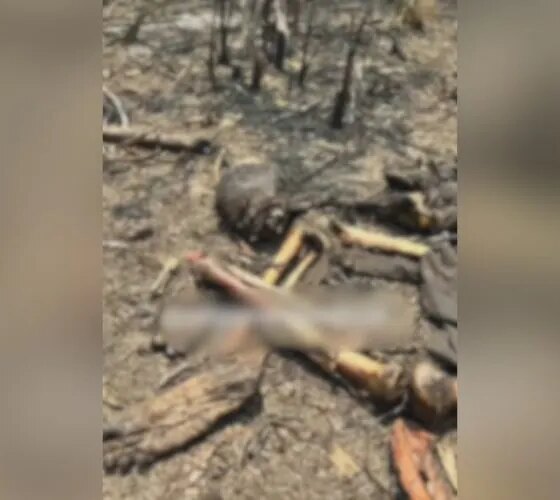 Ossada humana é encontrada em área de mata no Cacau Pirêra