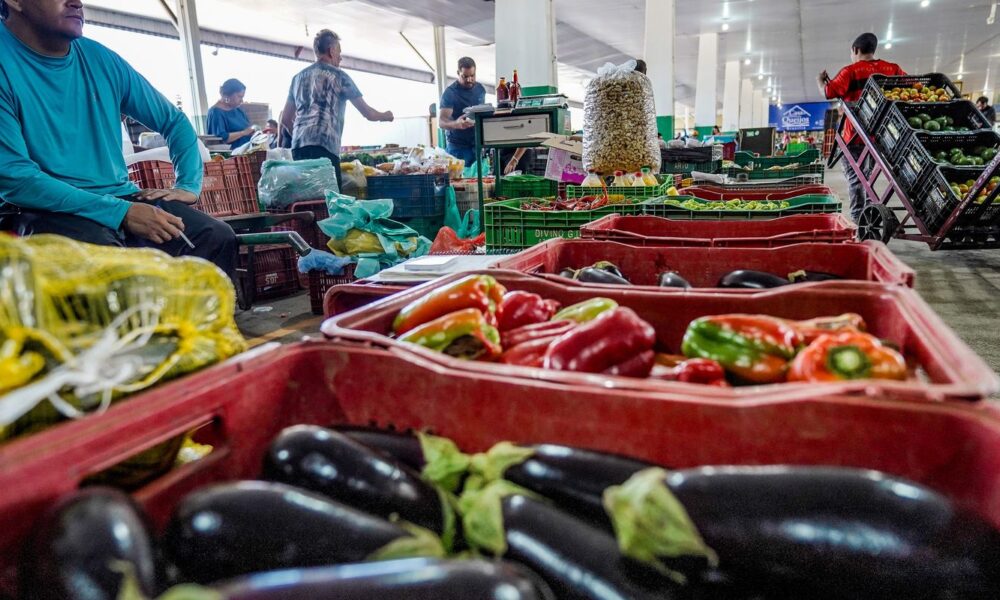 Campanha busca engajamento para reduzir desperdício de alimento