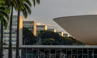 Nikolas Ferreira e Lucas Pavanato foram os deputados mais votados